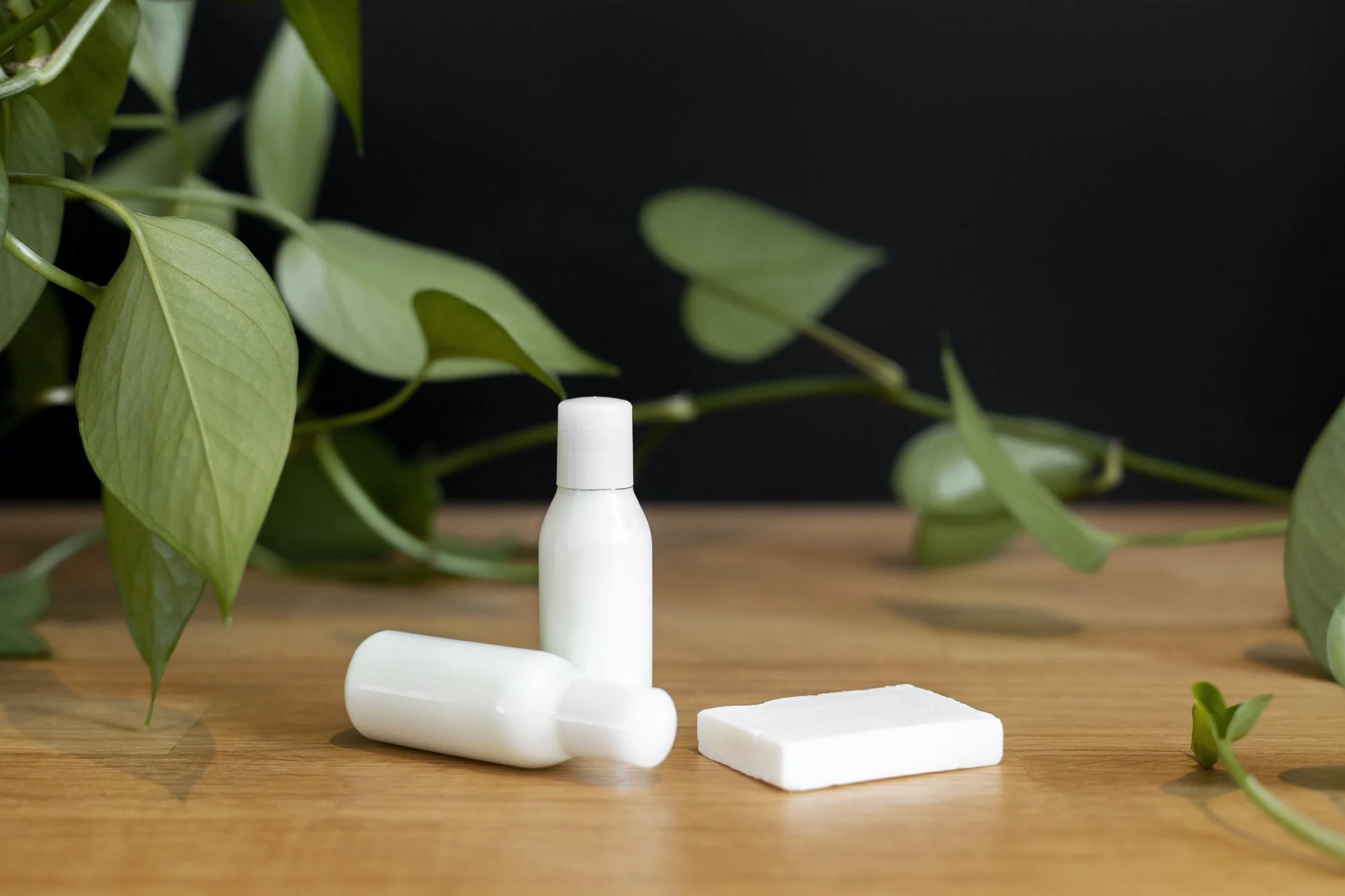 What Is White Label ? Benefits and How It Works